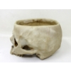Image 3 : 8 New Resin Skull Candy Bowls - 5" x 6" x 4.5"