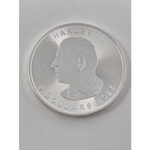1 Oz .9999 Silver 2025 Canada Maple Leaf Coin