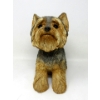 Image 2 : Sandicast #247 Yorkshire Terrier Pup