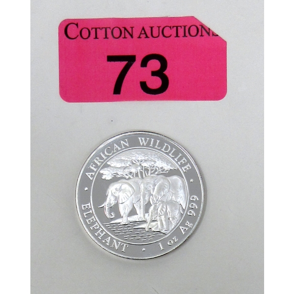 1 Oz .999 Silver 2013 African Wildlife Elephant Coin 