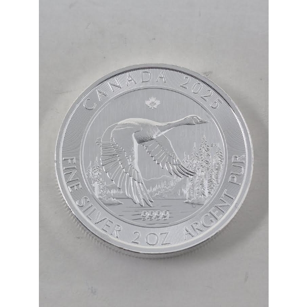 2 Oz .9999 Silver 2025 Canada Goose Coin 