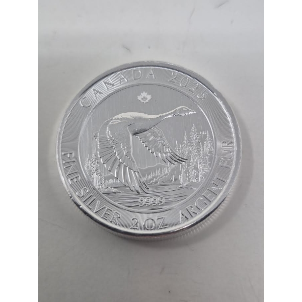 2 Oz .9999 Silver 2025 Canada Goose Coin 