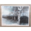 Image 2 : Frank Townsley Ltd. Edition Print - "Birches"