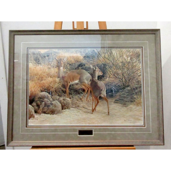 Robert Bateman Limited Edition Print - "Dik-Dik"
