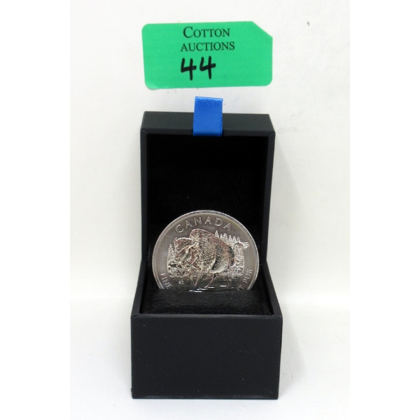 1 Oz .9999 Silver 2013 Canada Bison Coin