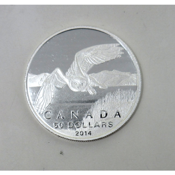 .9999 Silver 2014 Snowy Owl $50 Coin 