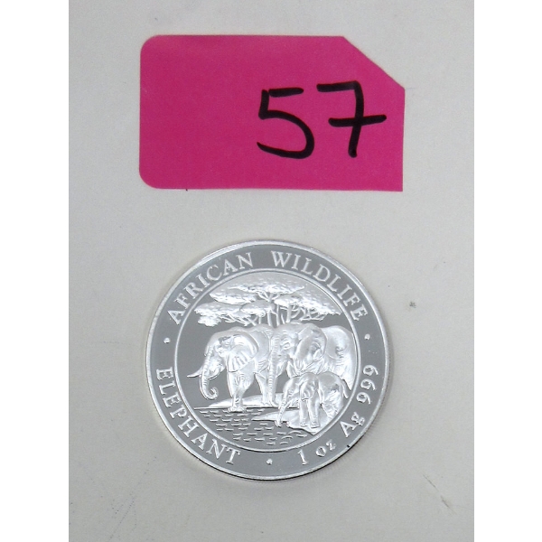 1 Oz .999 Silver 2013 African Wildlife Elephant Coin 
