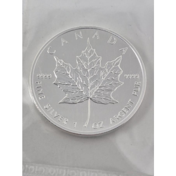 1 Oz .9999 Silver 2007 Canada Maple Leaf Coin