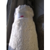 Image 1 : 8' x 10' White Shag Area Carpet