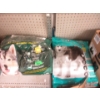Image 1 : 2 Bags of Kirkland Dry Dog Food - Resealed
