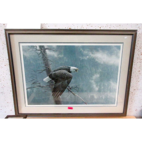 Robert Bateman Ltd. Edition Eagle Print