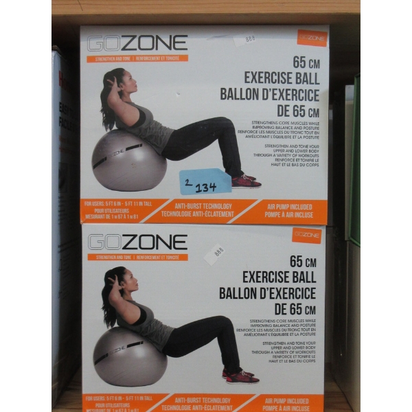 2 Go Zone 65 cm Exercise Balls with Air Pumps