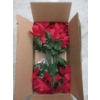 Image 1 : 12 New Boxes of 6 Faux Poinsettia Bouquets