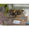 Image 1 : Case of 20 New Stuffed 7" Triceratops Toys
