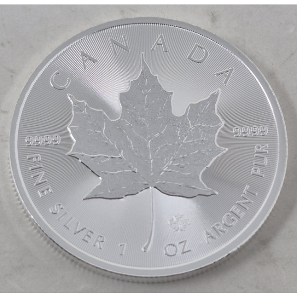 1 Oz .9999 Silver 2020 Canada Maple Leaf Coin 