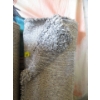 Image 1 : 5' x 7' Grey Speckled Shag Area Carpet