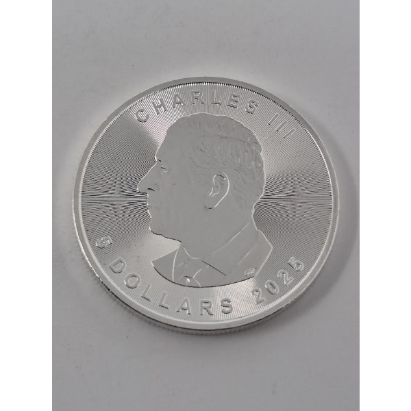 1 Oz .9999 Silver 2025 Canada Maple Leaf Coin