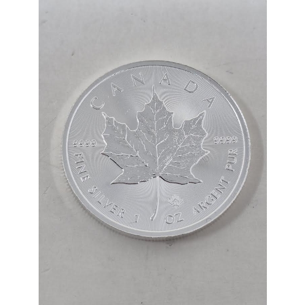 1 Oz .9999 Silver 2019 Canada Maple Leaf Coin 