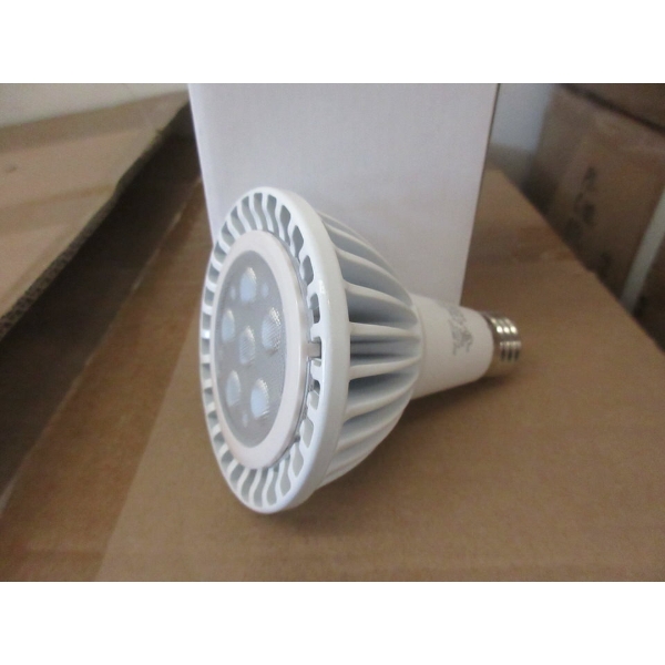 Case of 23 New LED PAR 30 12W Bulbs