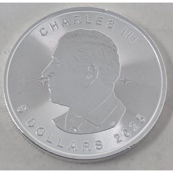 1 Oz .9999 Silver 2025 Canada Maple Leaf Coin
