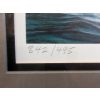 Image 4 : Bill Maximick  Ltd. Edition "A Pod"  Framed Print