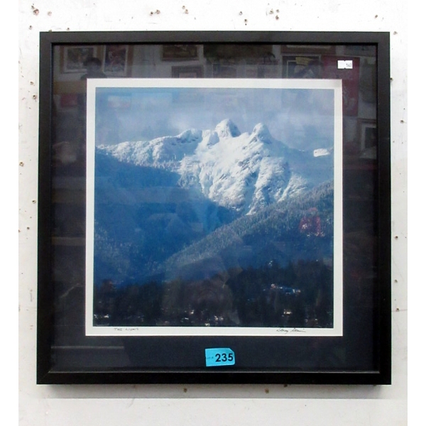 Box Framed "The Lions" Photographic Print