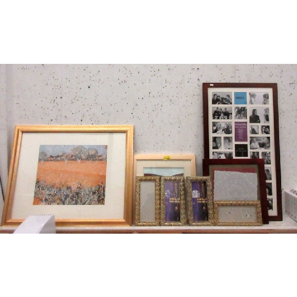 2 Framed Prints & 7 Assorted Picture Frames