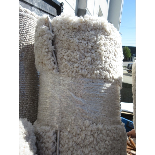 5' x 7' Ivory Shag Area Carpet