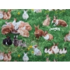 Image 2 : 9 M of New 100% Cotton Fabric - 44" Wide