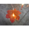 Image 2 : 6 New 20' Maple Leaf Light Strings - Battery Operated
