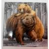Image 3 : 2015 .9999 Silver 1 Oz Grizzly Bear Togetherness Coin 
