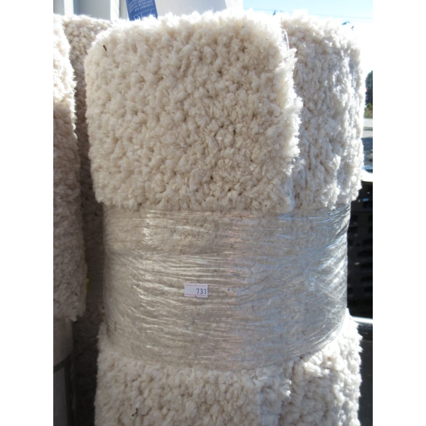 5' x 7' Ivory Shag Area Carpet