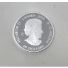 Image 3 : 1 Oz+ .9999 Silver 2023 Generations Mi'Kmaq Creations Story Coin 