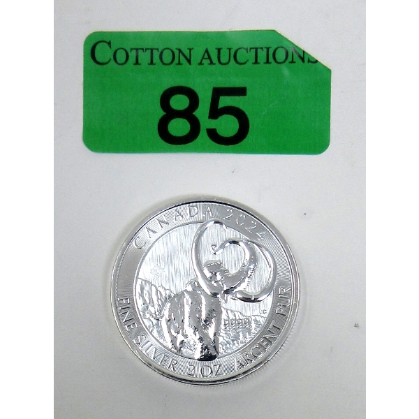 2 Oz .9999 Silver 2024 Woolly Mammoth Coin 