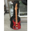 Image 1 : Grizzly Electric Guitar in Soft Case 
