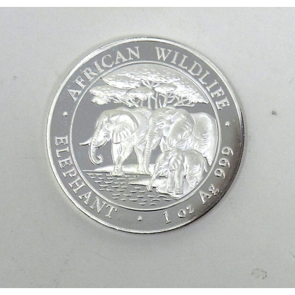 1 Oz .999 Silver 2013 African Wildlife Elephant Coin 