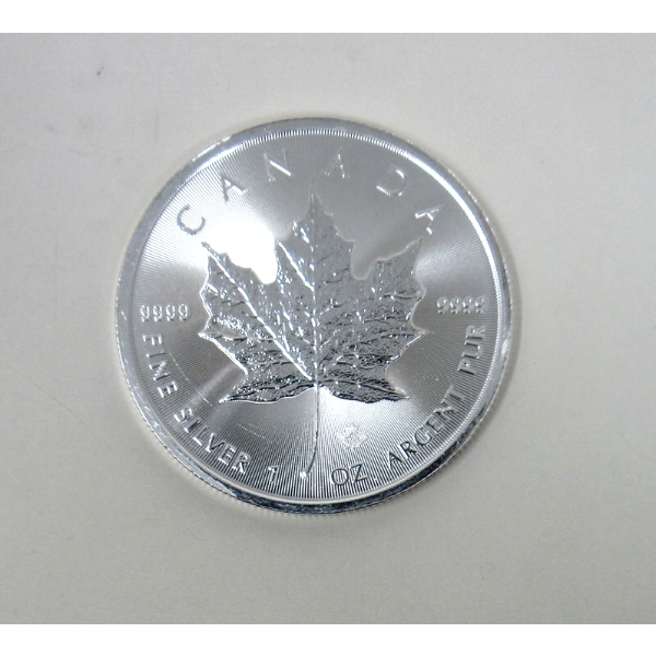 1 Oz .9999 Silver 2025 Maple Leaf Coin 