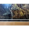 Image 3 : Denis Mayer Jr. Signed Ltd Edition "Morning Charm" Print