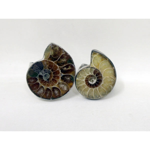 2 Ammonite Fossil Rings - 1 is Sterling Silver