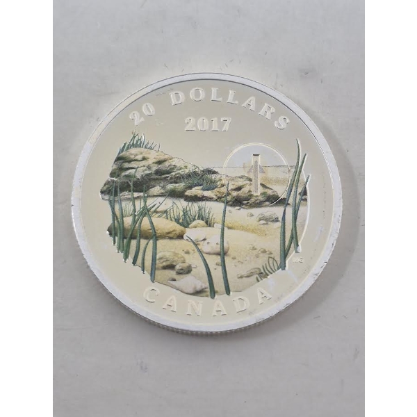 1 Oz .9999 Silver Canada Landscape $20 Coin