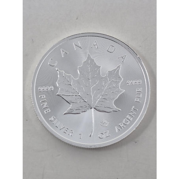 1 Oz .9999 Silver 2019 Canada Maple Leaf Coin 