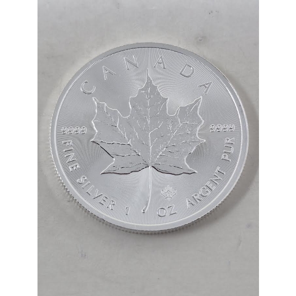 1 Oz .9999 Silver 2019 Canada Maple Leaf Coin 