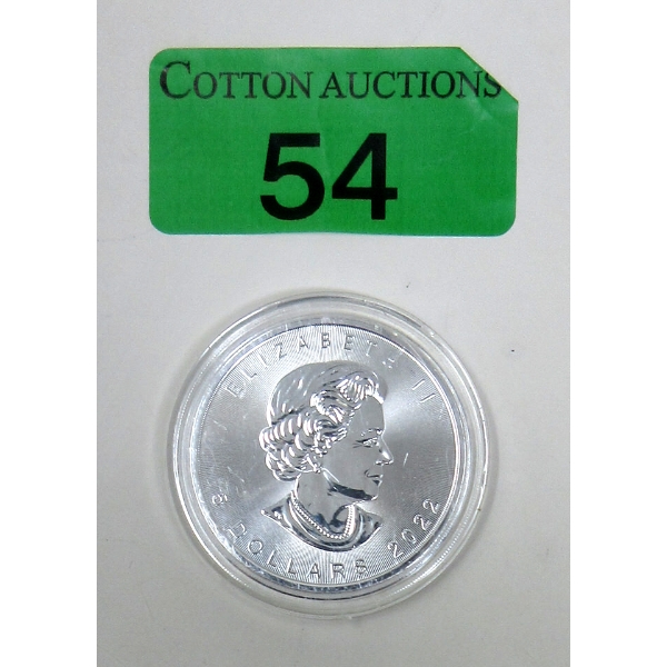 1 Oz .9999 Silver 2022 Maple Leaf Coin 
