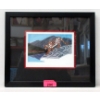 Image 1 : Richard Shorty Framed Print - Mountain Lion