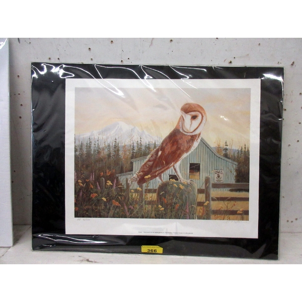 Chris MacClure  Oddey  Artists Proof - #42/45