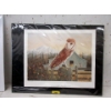 Image 1 : Chris MacClure "Oddey" Artists Proof - #42/45
