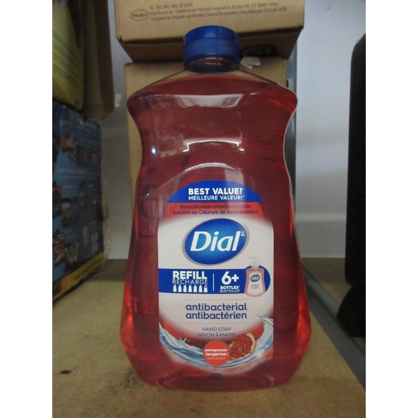 Case of Dial Hand Soap Refills - Pomegranate Tangerine
