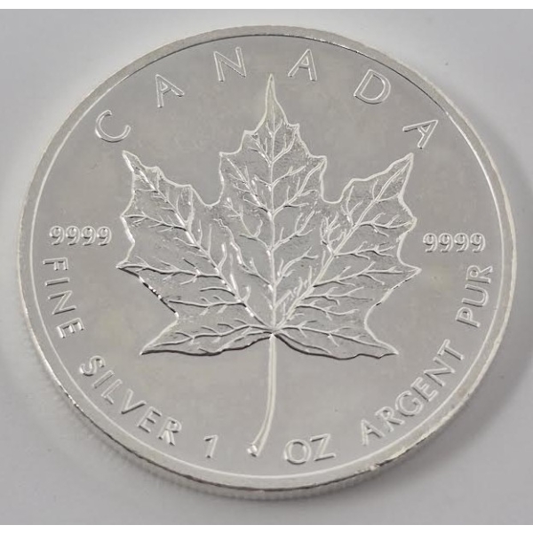 1 Oz .9999 Silver 2013 Canada Maple Leaf Coin 