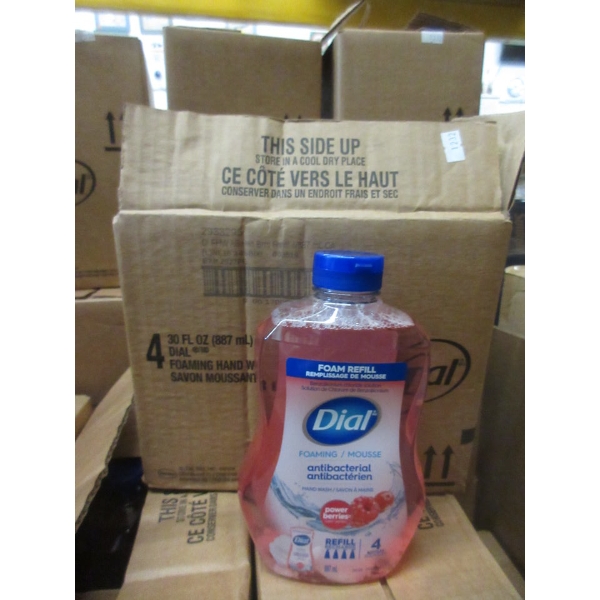 Case of 4 Dial Foaming Hand Wash Refills - Power Berries