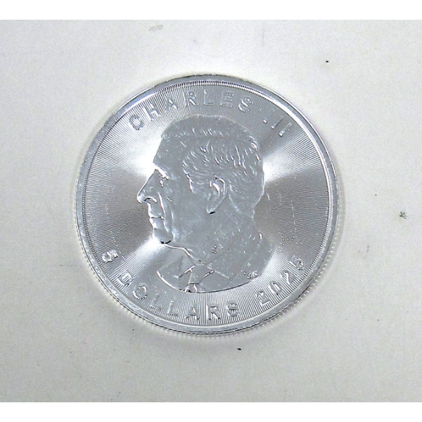 First Mint 1 Oz .9999 Silver 2025 Maple Leaf Coin 